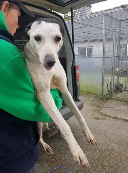 29242854 10214160585342176 161829734 o