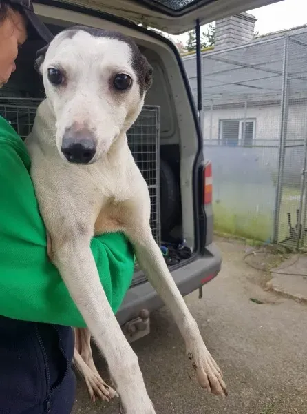 29242861 10214160584022143 868088355 o