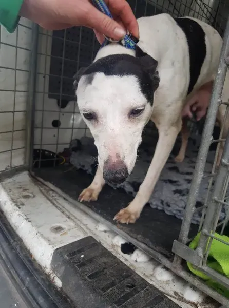 29250366 10214160586142196 1761595187 o