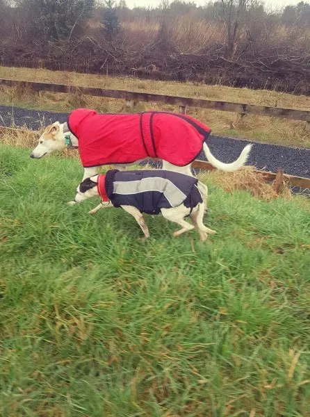 29250459 10214166502210094 2099080853 o