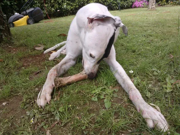 292595 10200808638171634 2075375310 n