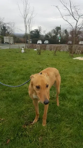 29260949 1596344287116160 6251797350025527296 o