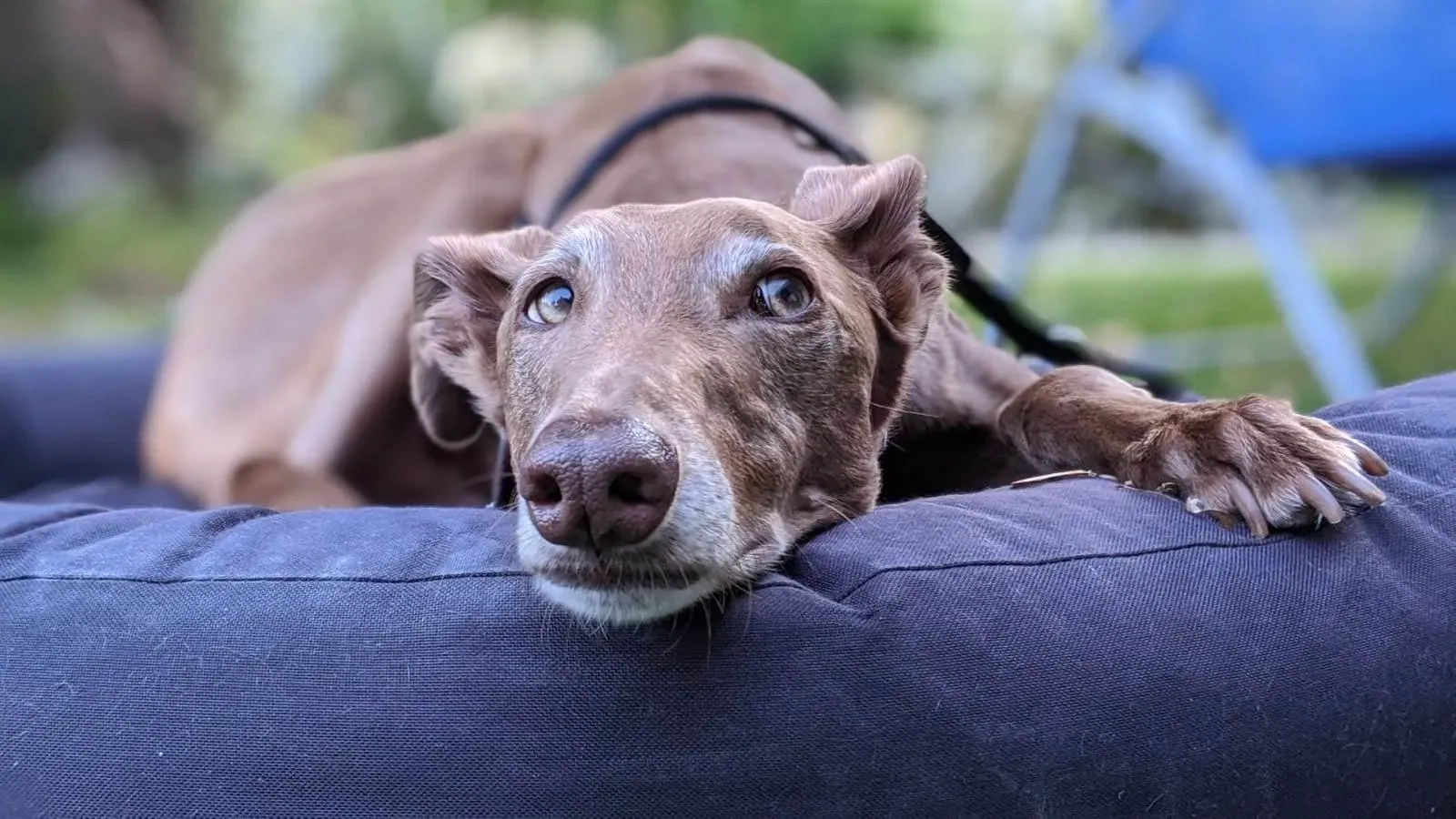 292799714 10159020131367475 3838775142739303309 n 1