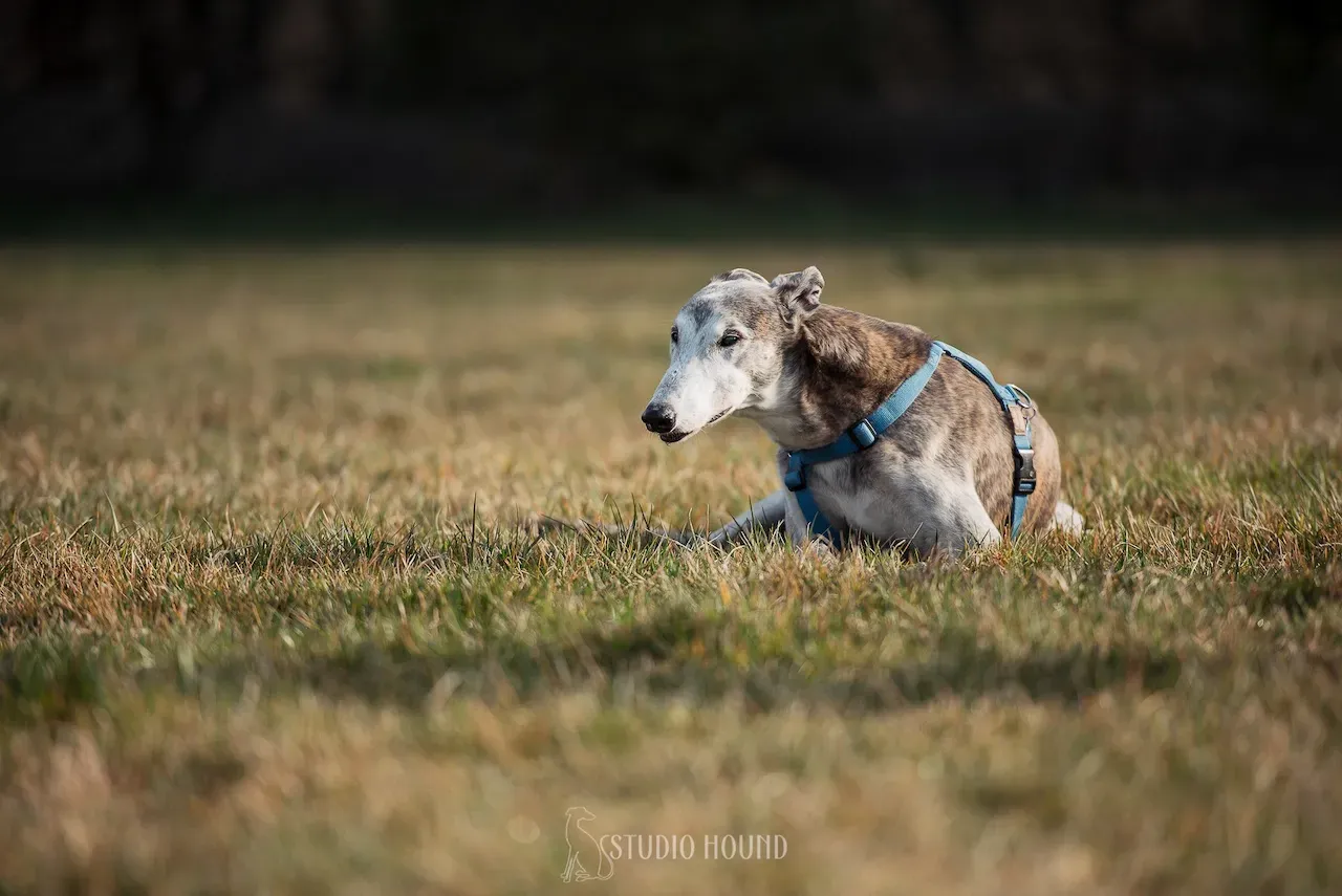 292989831 10217248957495653 7627637924768982596 n