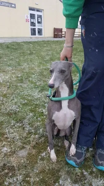 29313559 1597204363696819 1844301962409934848 n