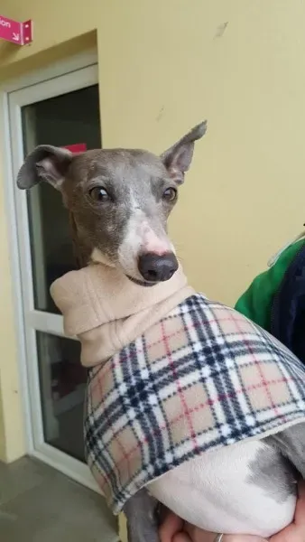 29314070 1597204110363511 4235837166975975424 n