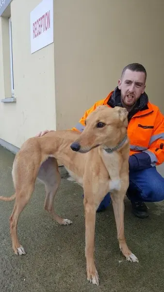 29314418 1597461587004430 6123532850424709120 n