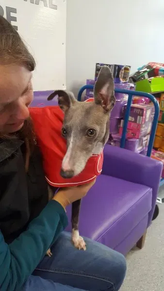 29314452 1597204177030171 8725352338157469696 n