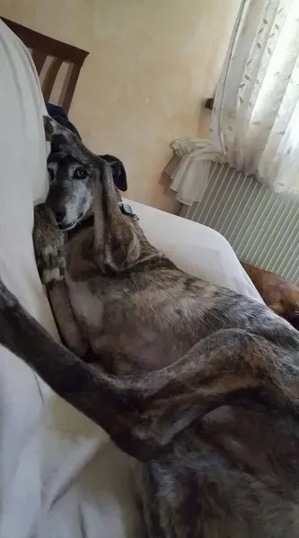 29314488 1664753636941818 7089955394591653888 o