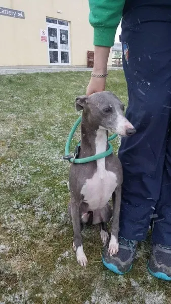 29314562 1597204417030147 6580254424231313408 n