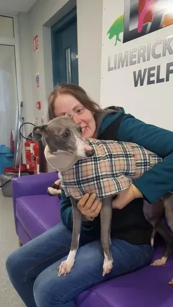 29314755 1597204627030126 6219181200875978752 n