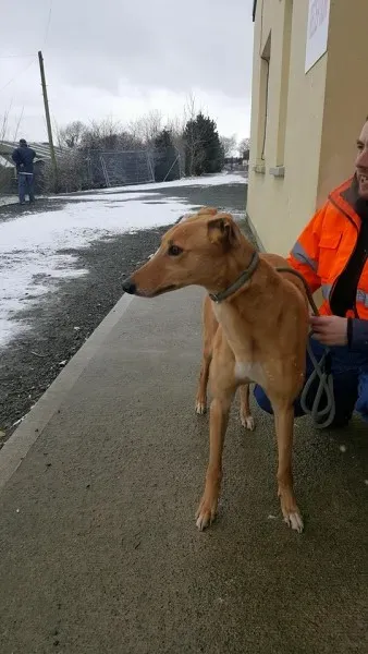 29314769 1597461790337743 2188585703338672128 n