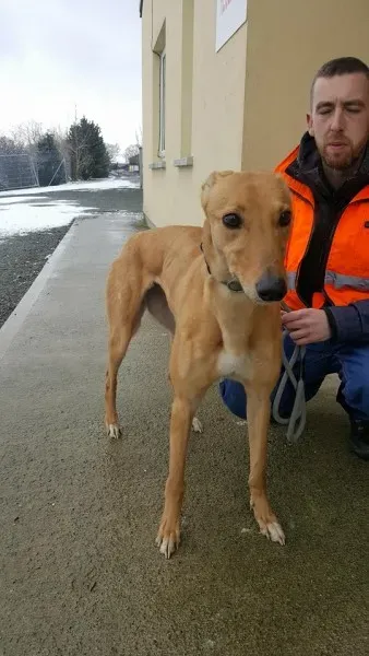 29315283 1597460360337886 4113811867581808640 n