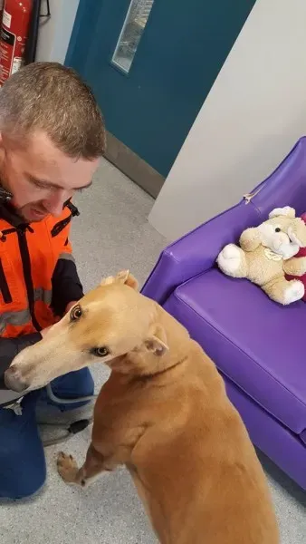 29315333 1597473433669912 2218260585869475840 n