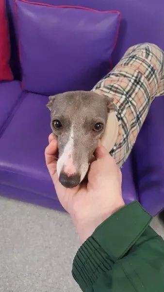 29315361 1597203880363534 8897186918744195072 n