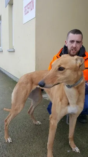 29339478 1597460377004551 6755669414110035968 n