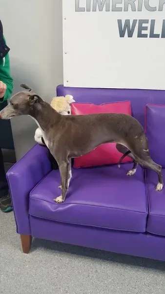 29340021 1597205050363417 5849600536365498368 n