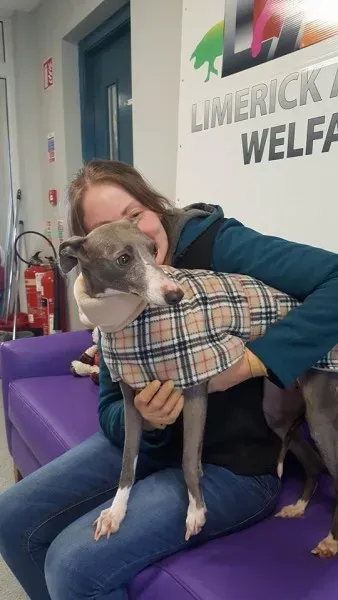 29340230 1597205060363416 5312306853554683904 n