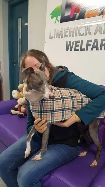 29340456 1597204817030107 1398687431728824320 n