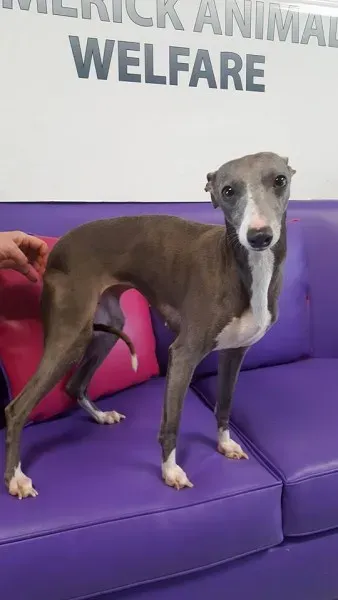 29340597 1597204157030173 5168939938976104448 n