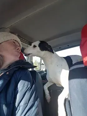 29341486 10214179346891203 1703398462 n