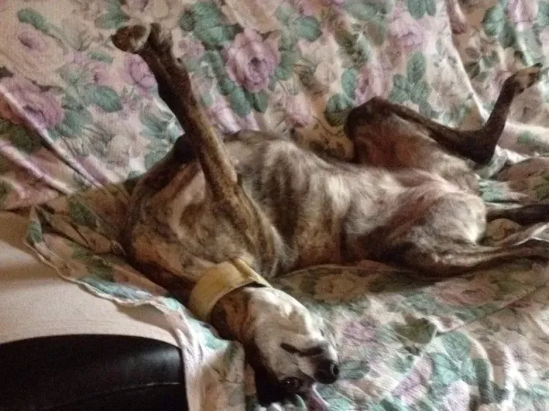 29342297 1664753336941848 295523870570446848 n