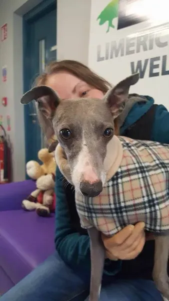 29342305 1597204090363513 4359247112286765056 n