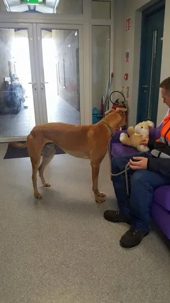 29343221 1597472697003319 2693298760674443264 n