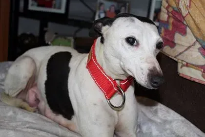 29345549 10214166379007014 1918830605 n