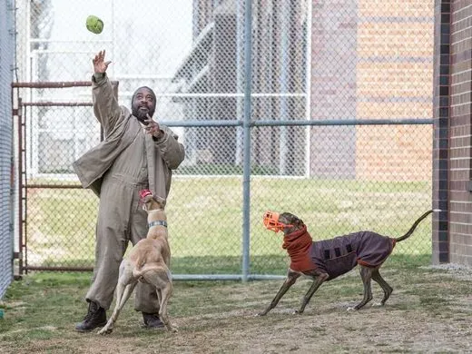 29345633 985101634994215 1249852134 n