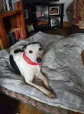 29345670 10214165208337748 370374793 n