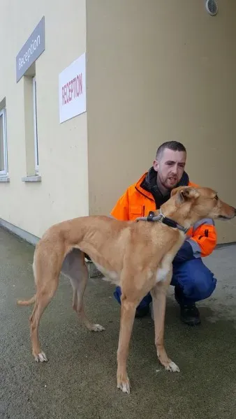 29357193 1597461693671086 9148412887465721856 n