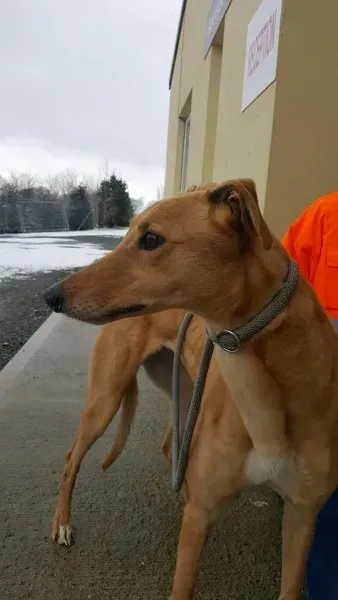 29365607 1597461620337760 3059577982608736256 n