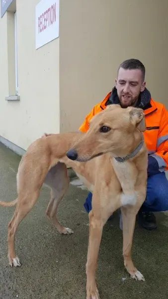 29365704 1597461747004414 1098382214585909248 n