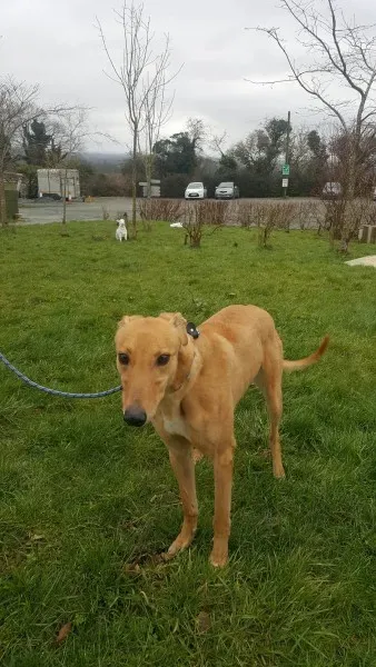 29365754 1596344267116162 2520122664232681472 o