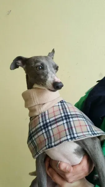 29366135 1597204863696769 4018002881058701312 n