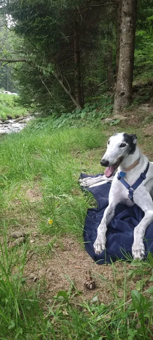 293780156 1168742697025414 3356787509328341173 n