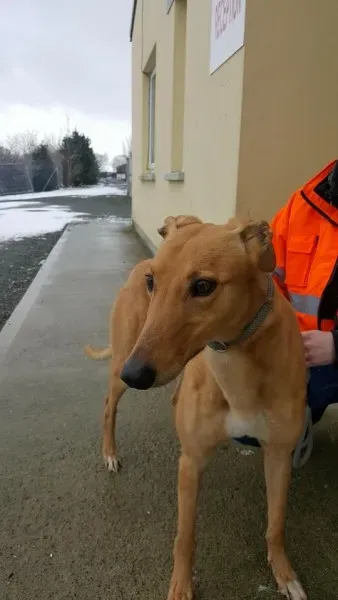 29386262 1597461507004438 8570699336151728128 n