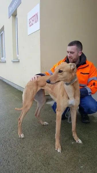 29388378 1597460730337849 1719717974903881728 n