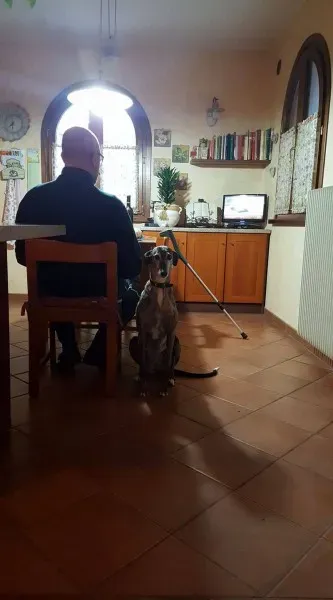 29388640 1664753543608494 3478581583118598144 o