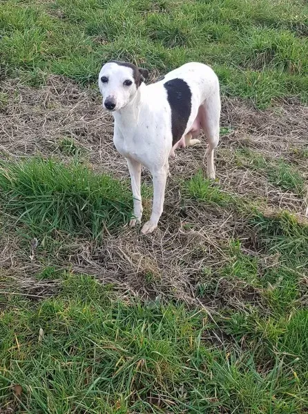 29391732 10214182859099006 1431006215 o