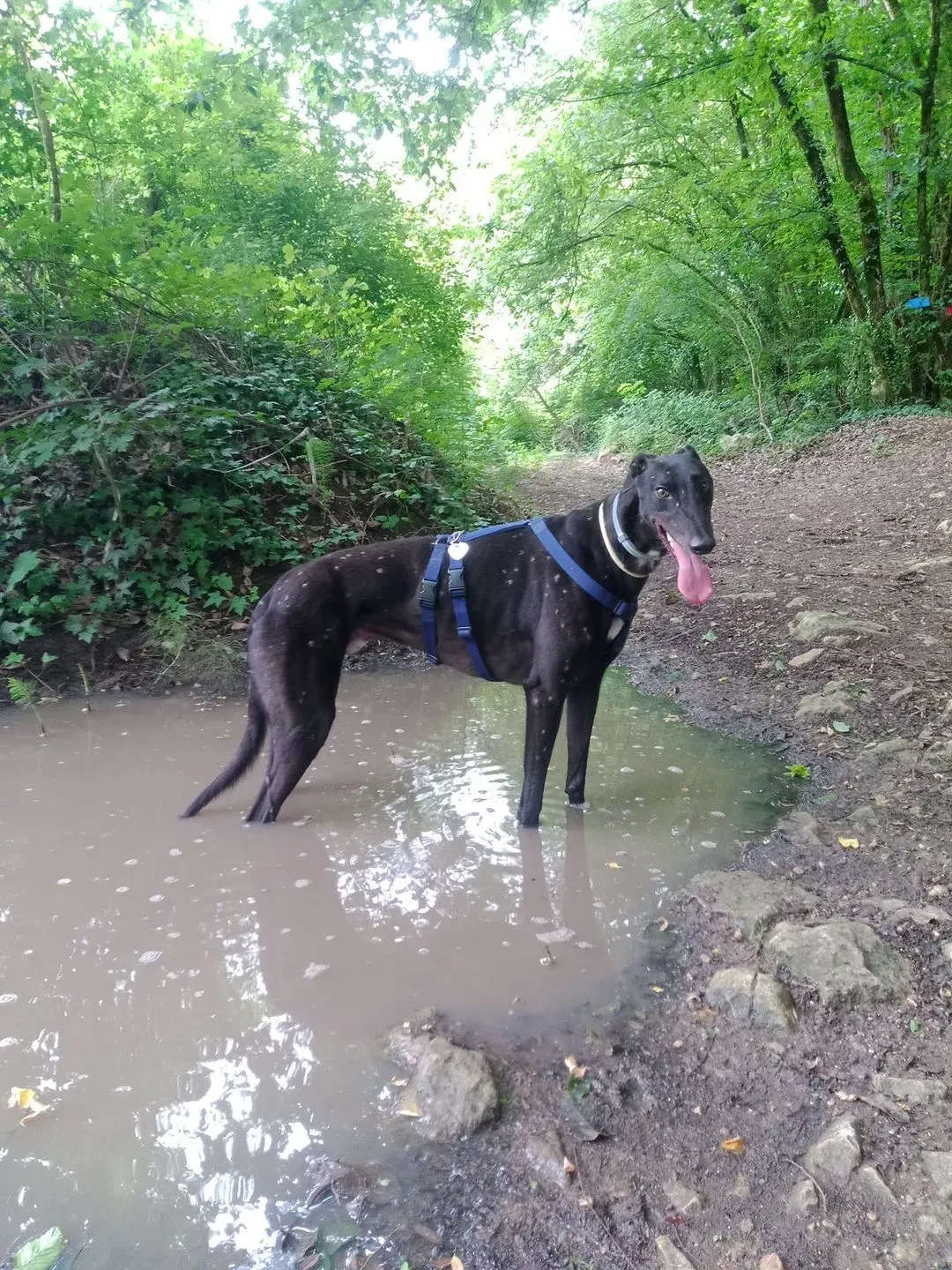 293921981 10229110013362755 2338838633506099110 n