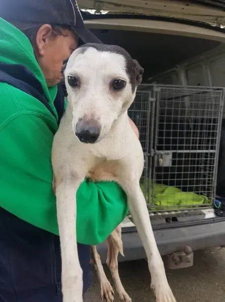 29404691 10214160584502155 1324736961 o