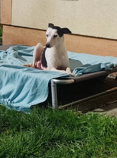 29404943 10214180467599220 332249540 o