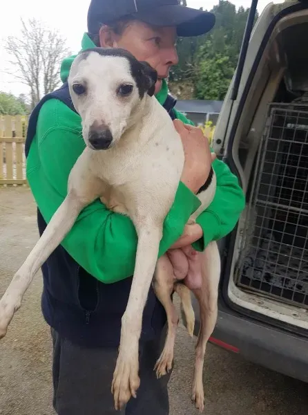 29405536 10214160585702185 1068446045 o