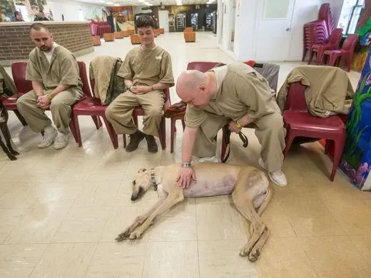 29425737 1618775134904705 1934697724304683435 n 1