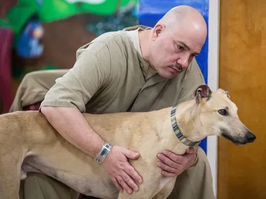 29425814 1796906133949710 2900948931808591872 n