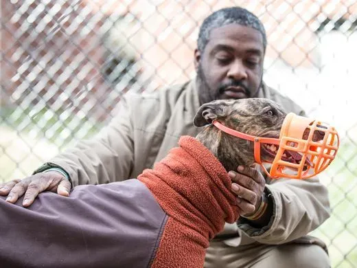 29432594 10155786008187182 1149227871386992640 o