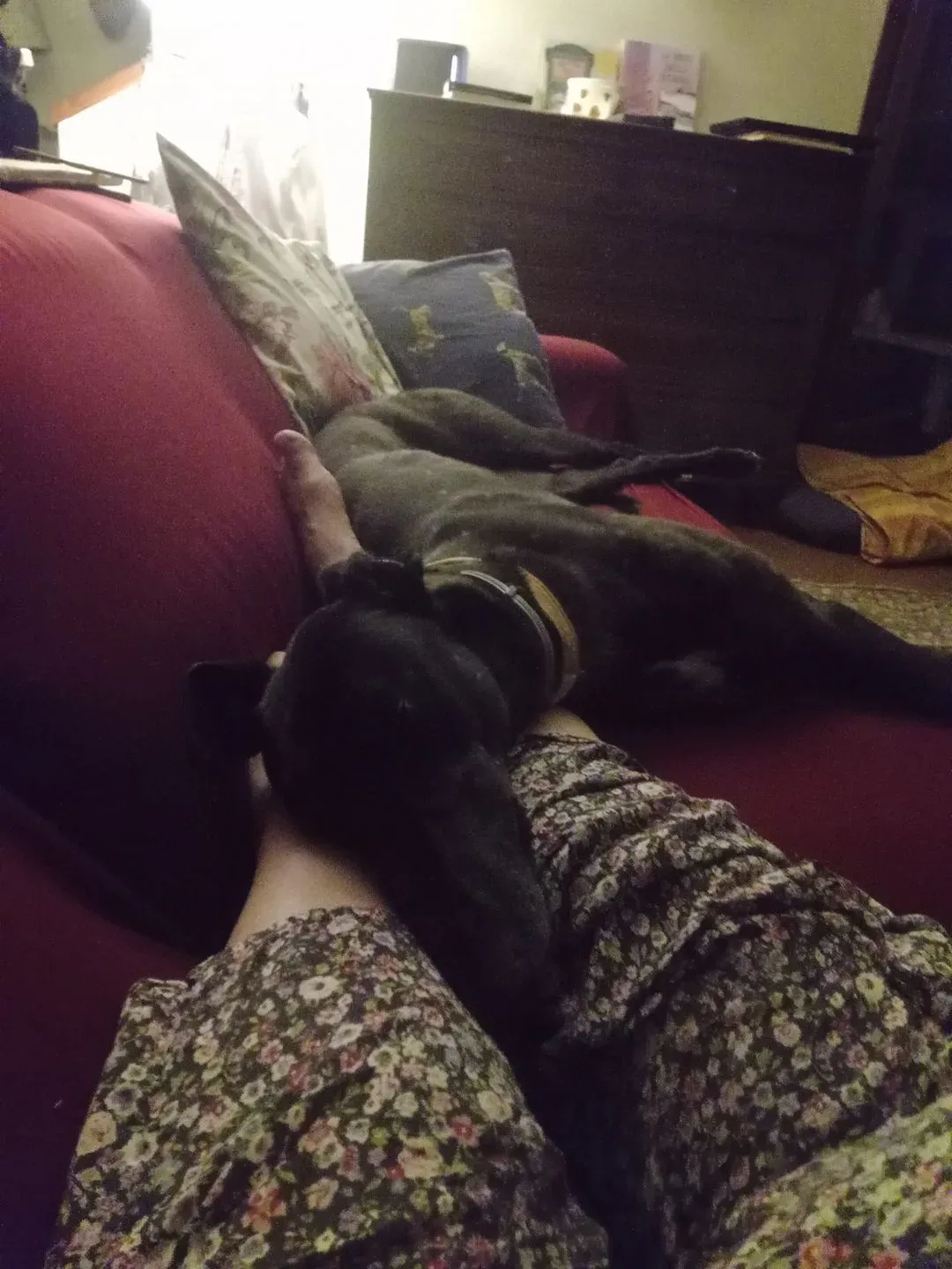 294504577 10229111773286752 4894600405052911734 n