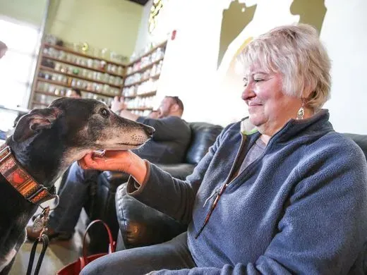 29468010 980696598768052 2947148928644022272 n